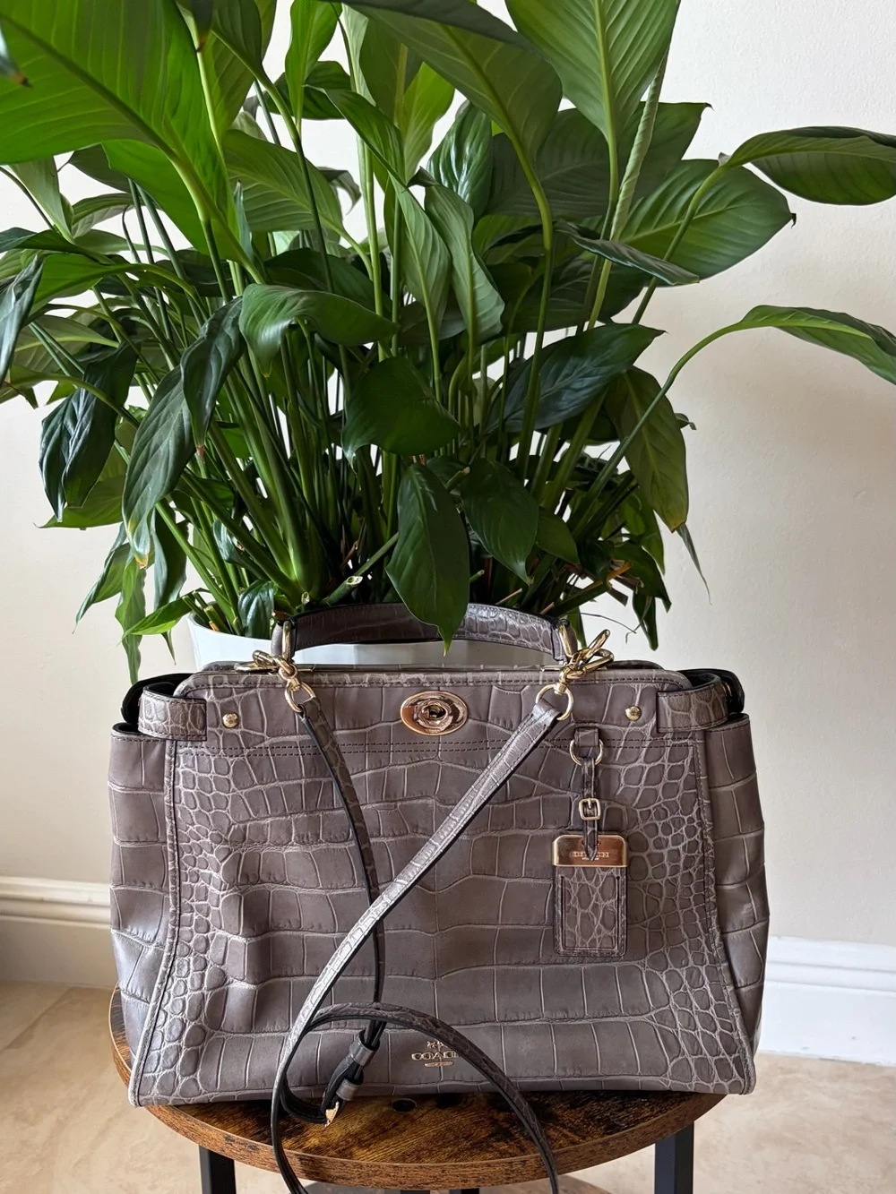 Gray Coach Gramercy Croc-Embossed Leather Tote with Gold Hardware